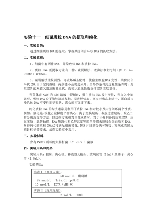 试验十一细菌质粒DNA的提取和纯化