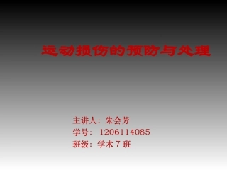 理论课实习教案