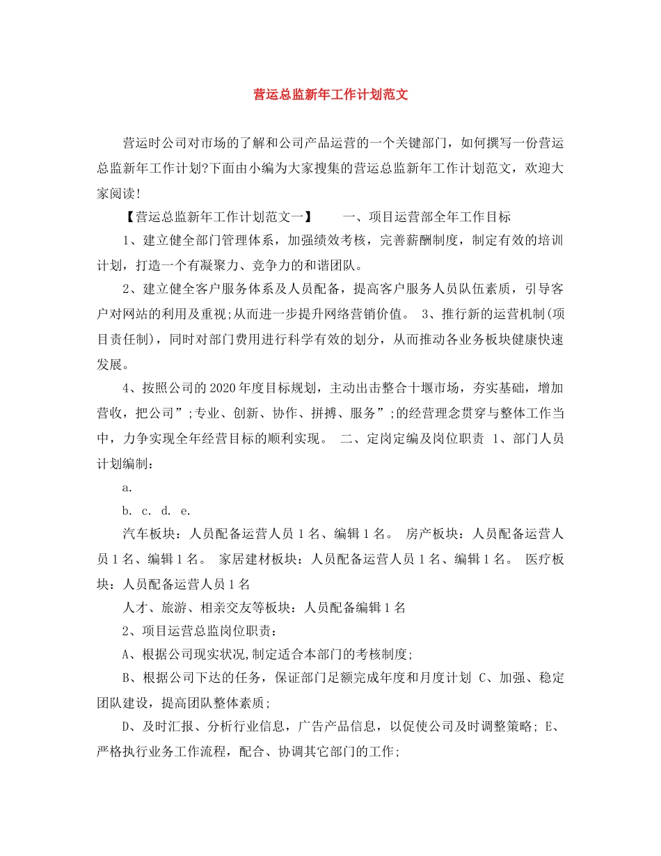 营运总监新年工作计划范文 _第1页