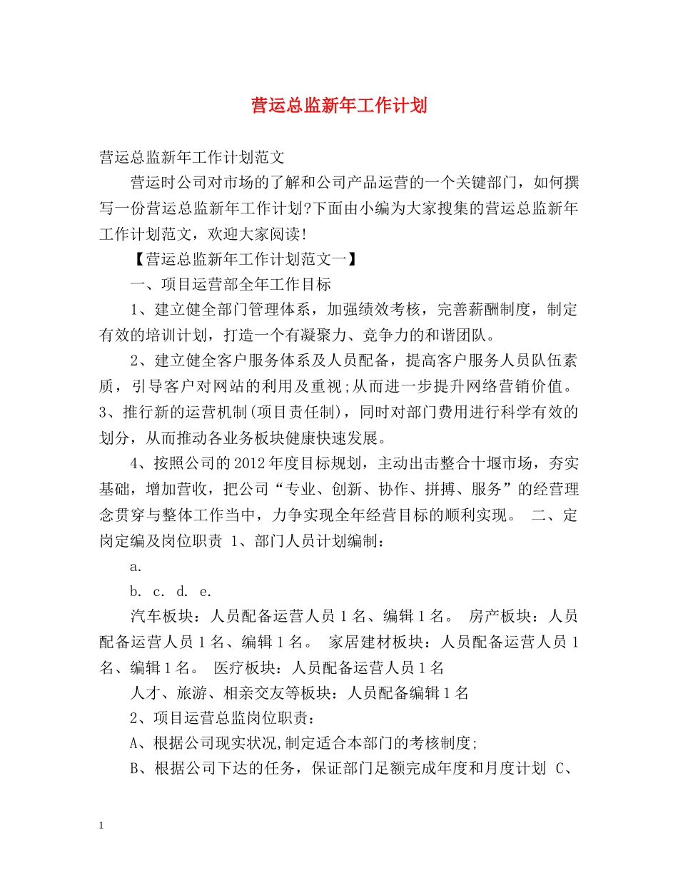 营运总监新年工作计划 _第1页