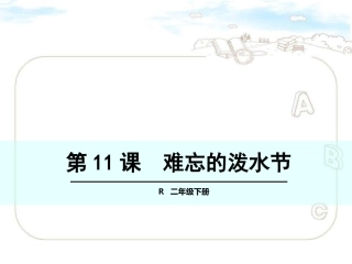 难忘的泼水节 ()