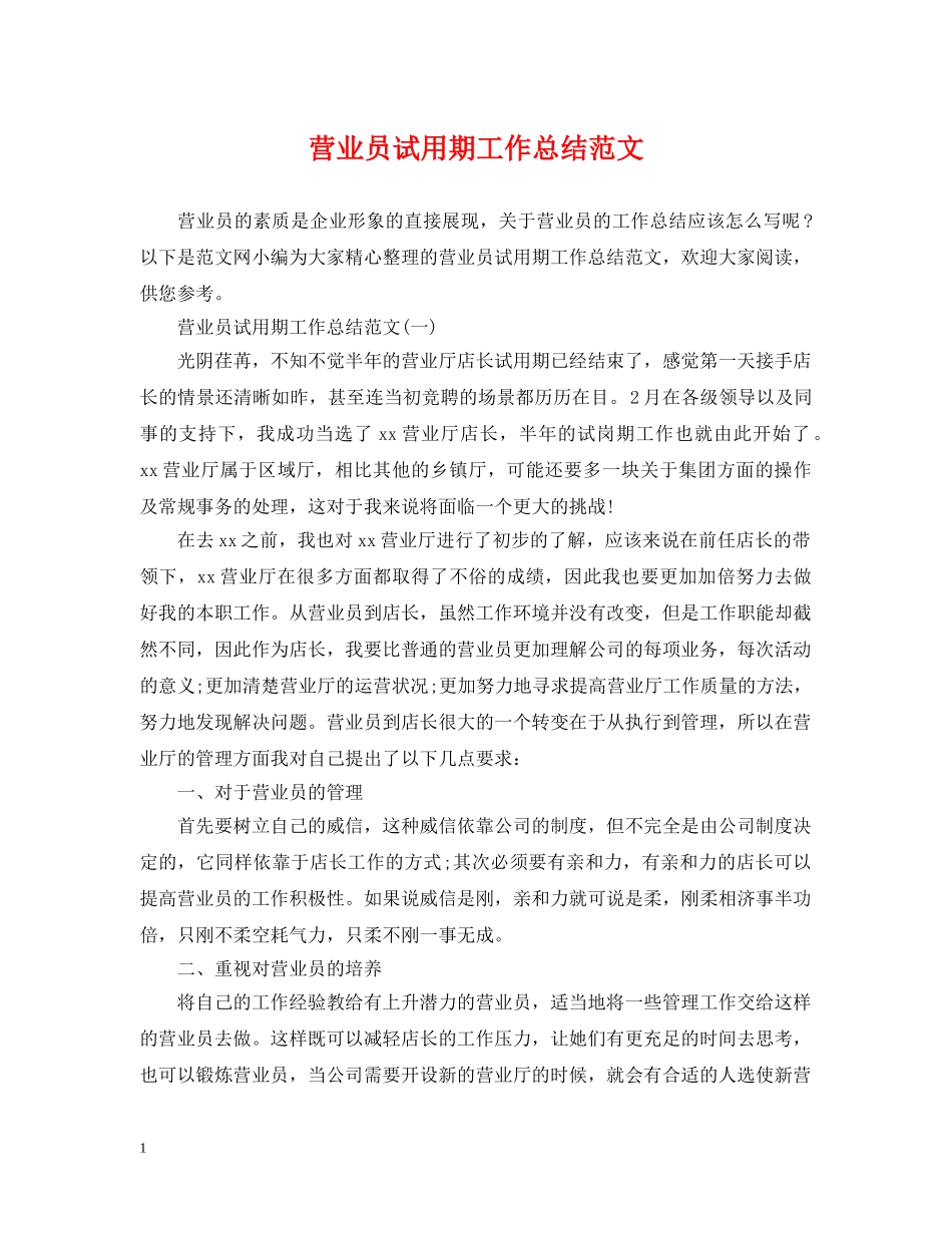 营业员试用期工作总结范文 _第1页