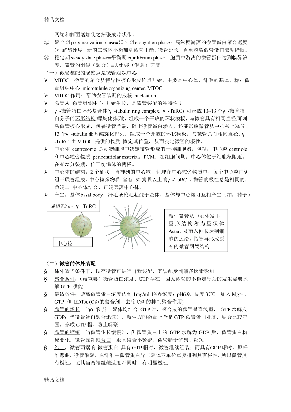 整理细胞生物学之笔记--细胞骨架与细胞运动_第2页