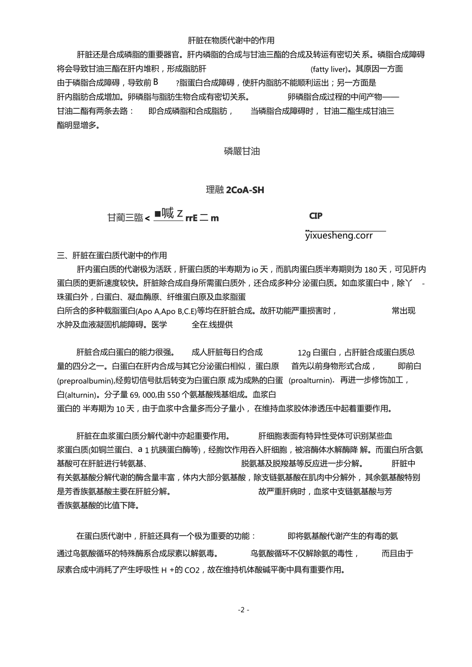 肝脏在物质代谢中的作用_第2页