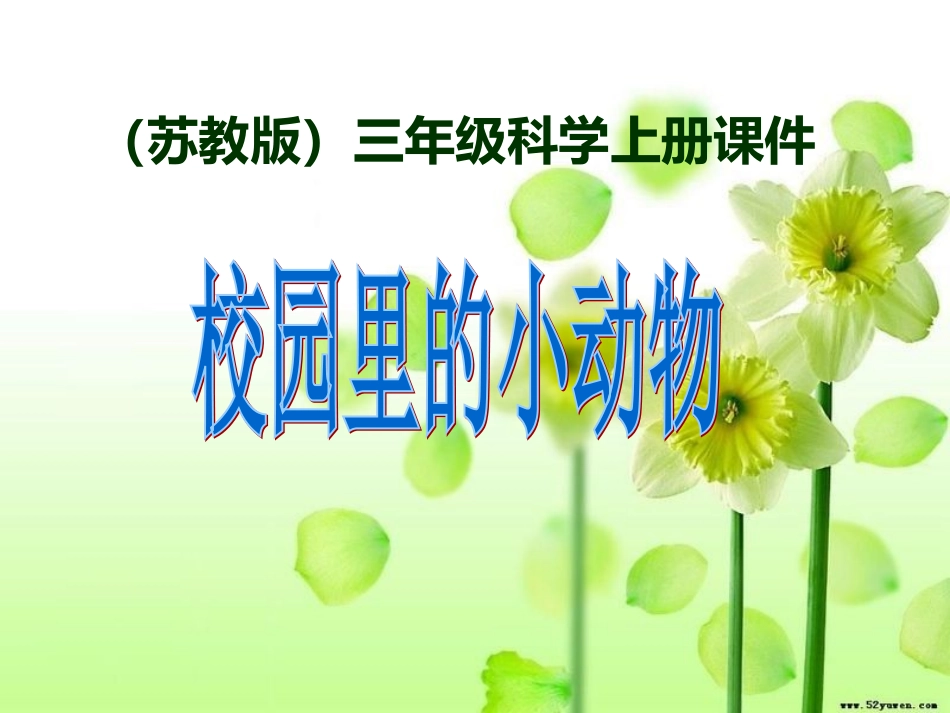 第二单元（3）《校园里的小动物》课件_第1页