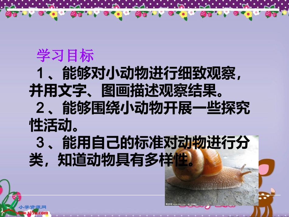 第二单元（3）《校园里的小动物》课件_第2页