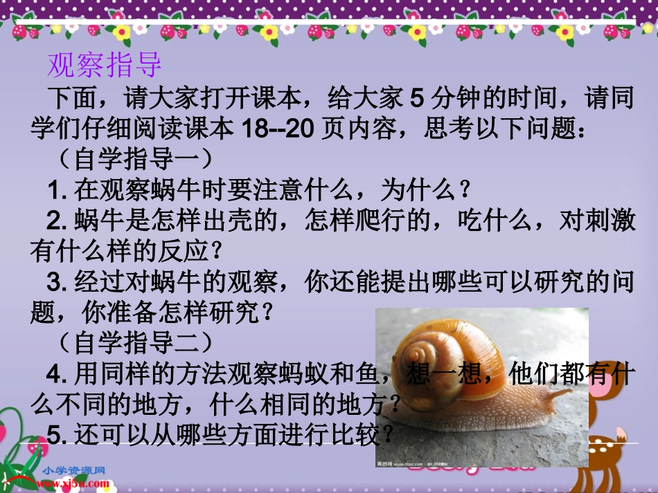 第二单元（3）《校园里的小动物》课件_第3页