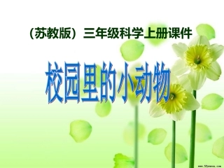 第二单元（3）《校园里的小动物》课件