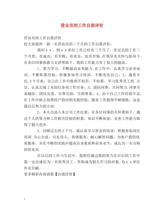 营业员的工作自我评价 