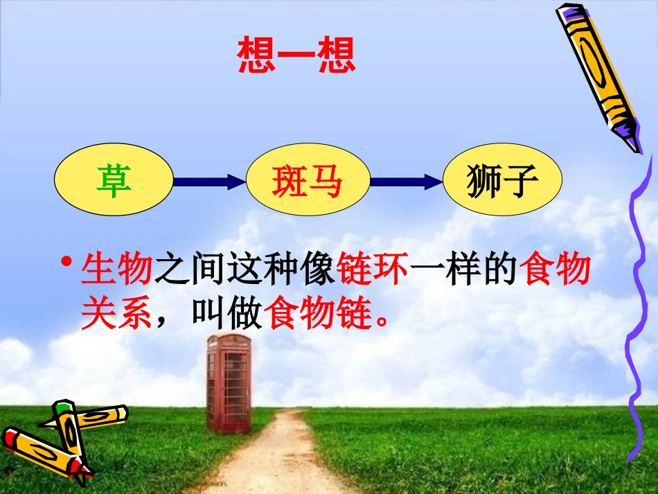 小学科学食物链和食物网_第3页
