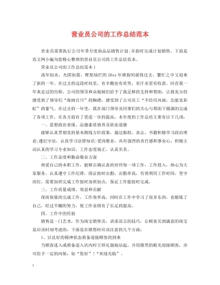 营业员公司的工作总结范本 