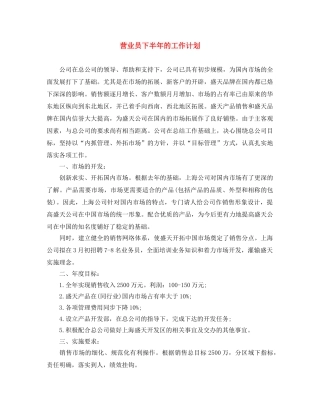 营业员下半年的工作计划 
