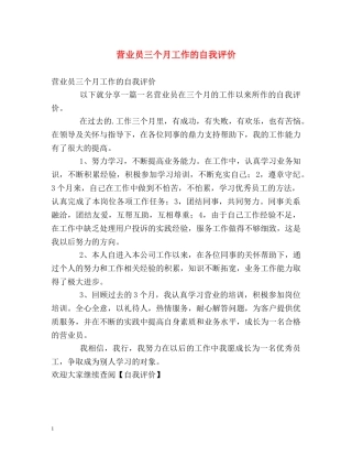 营业员三个月工作的自我评价 
