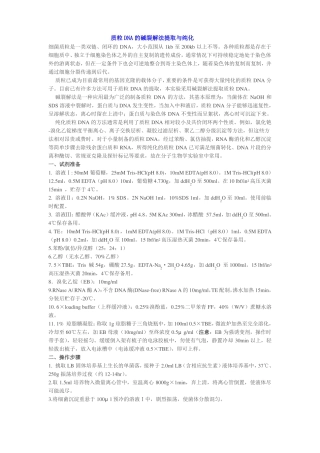 质粒DNA的碱裂解法提取与纯化