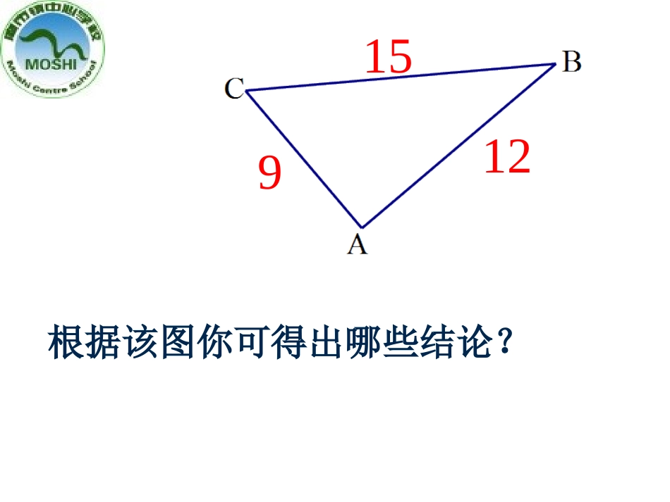 勾股定理复习_第3页