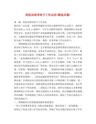 药监局领导班子工作总结(精选多篇) 
