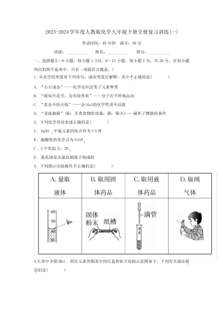 2023-2024学年度人教版化学九年级下册全册复习训练(一)答案版