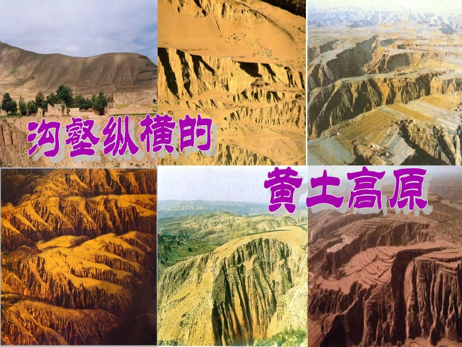 新沟壑纵横的黄土高原_第3页