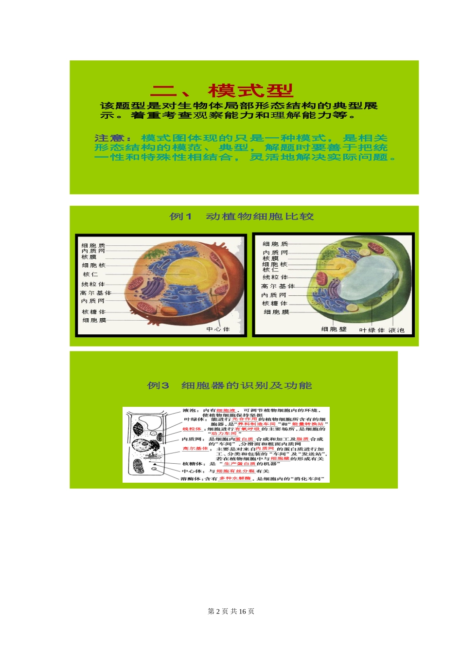 《生物图类专题》学案及练习_第2页