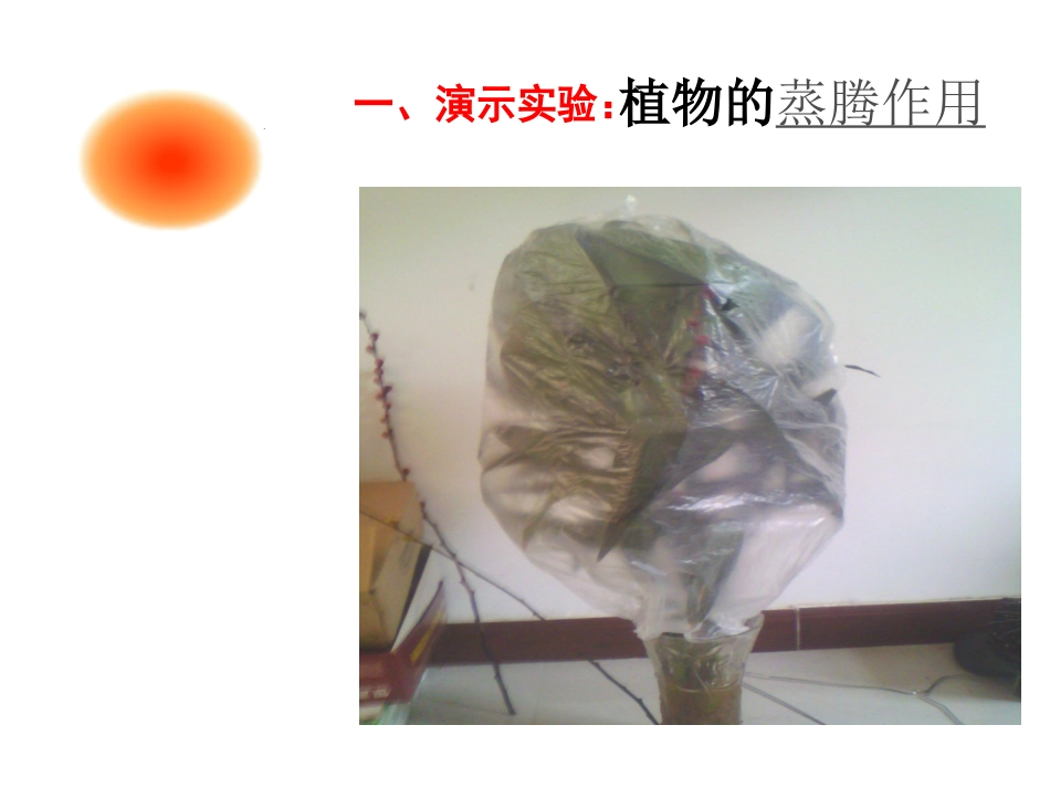 绿色植物参与生物圈的水循环1_第2页