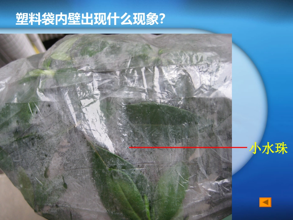 绿色植物参与生物圈的水循环1_第3页