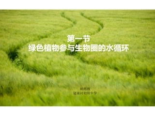 绿色植物参与生物圈的水循环1