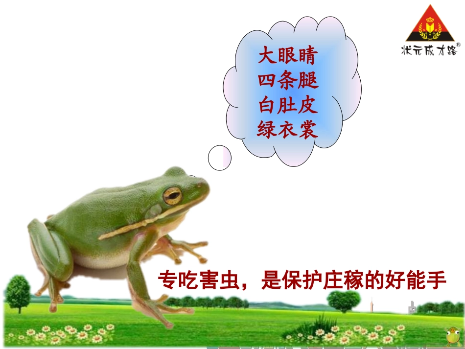 小蝌蚪找妈妈 (3)_第3页