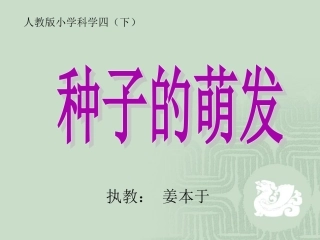 种子的萌发课件