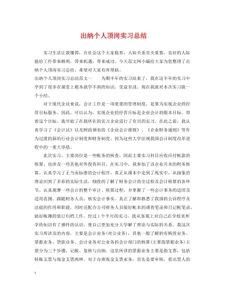 出纳个人顶岗实习总结