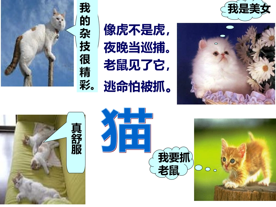 第26课《猫》_第1页