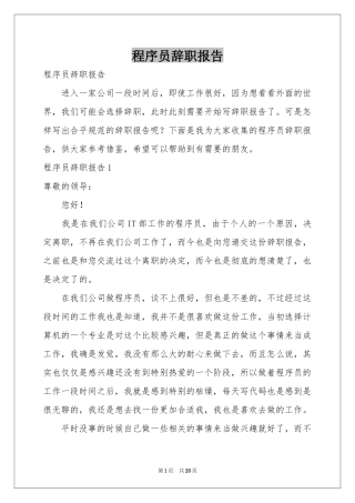 程序员辞职报告