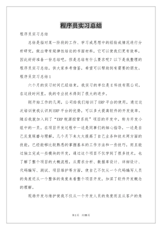 程序员实习参考总结