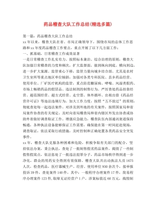 药品稽查大队工作总结(精选多篇) 