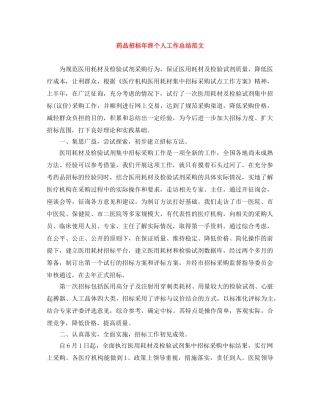 药品招标年终个人工作总结范文 