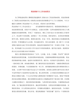 药品招标个人工作总结范文 