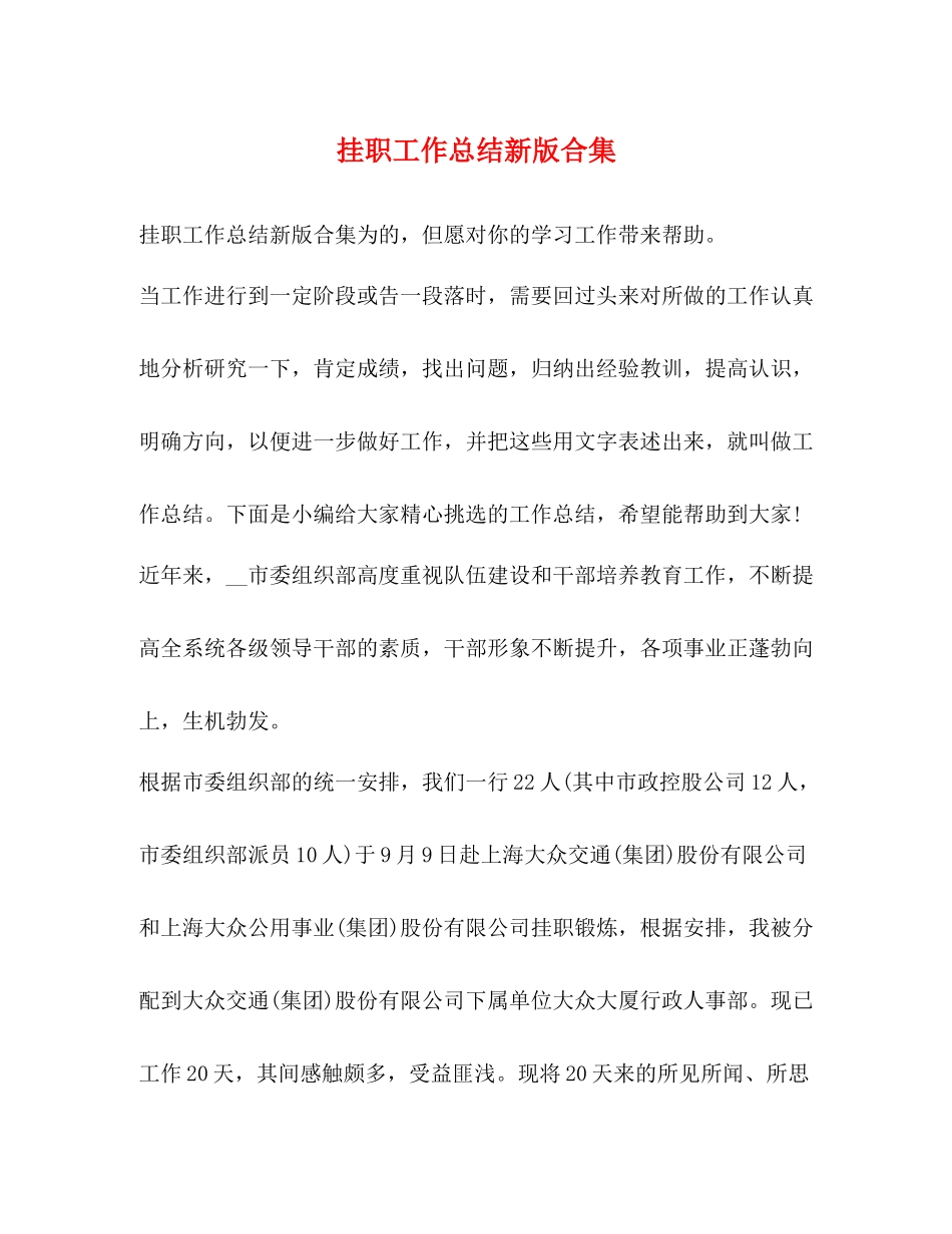 挂职工作总结新版合集_第1页