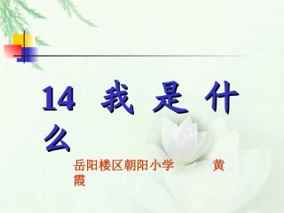 《我是什么》课件