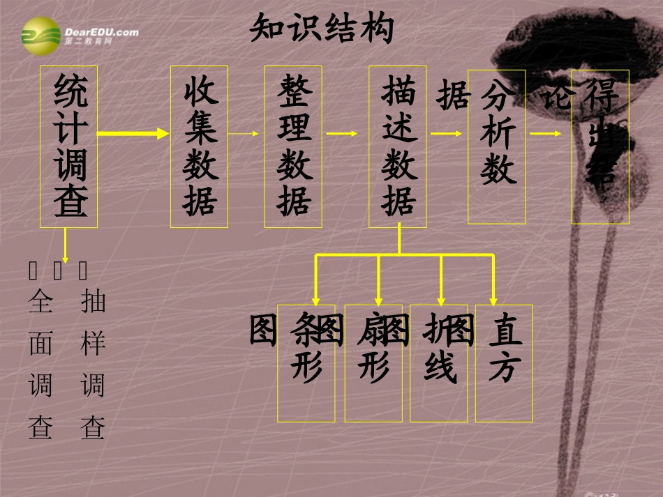 第十章第十章数据的收集、整理与描述复习课件（新版）新人教版_第2页