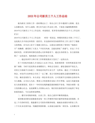 公司新员工个人工作总结