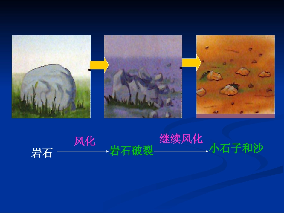 土壤中有什么[]_第2页