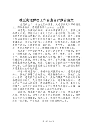 社区街道保密工作自查自评报告范文