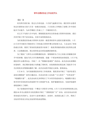 青年志愿者协会工作总结开头