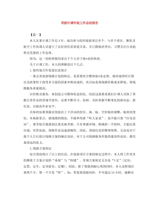 导游计调年底工作总结报告