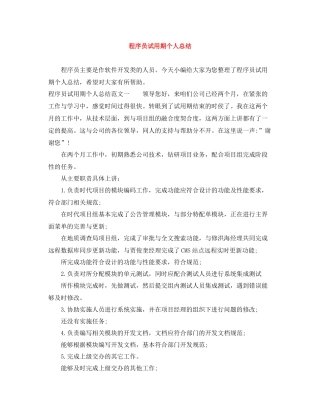 程序员试用期个人总结