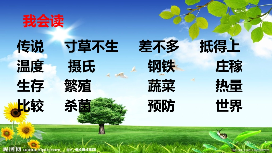 《21太阳》课件_第3页