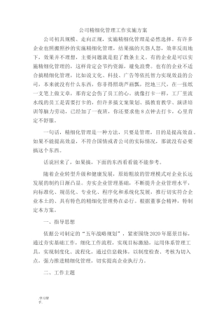 公司精细化管理方案说明