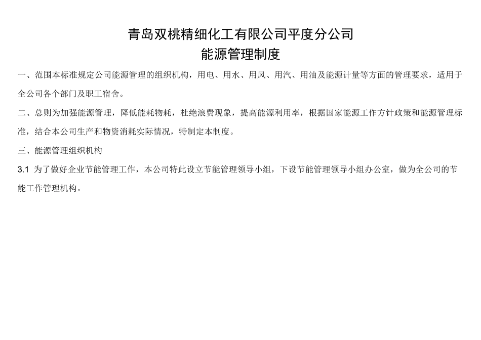 企业能源管理制度82667_第1页
