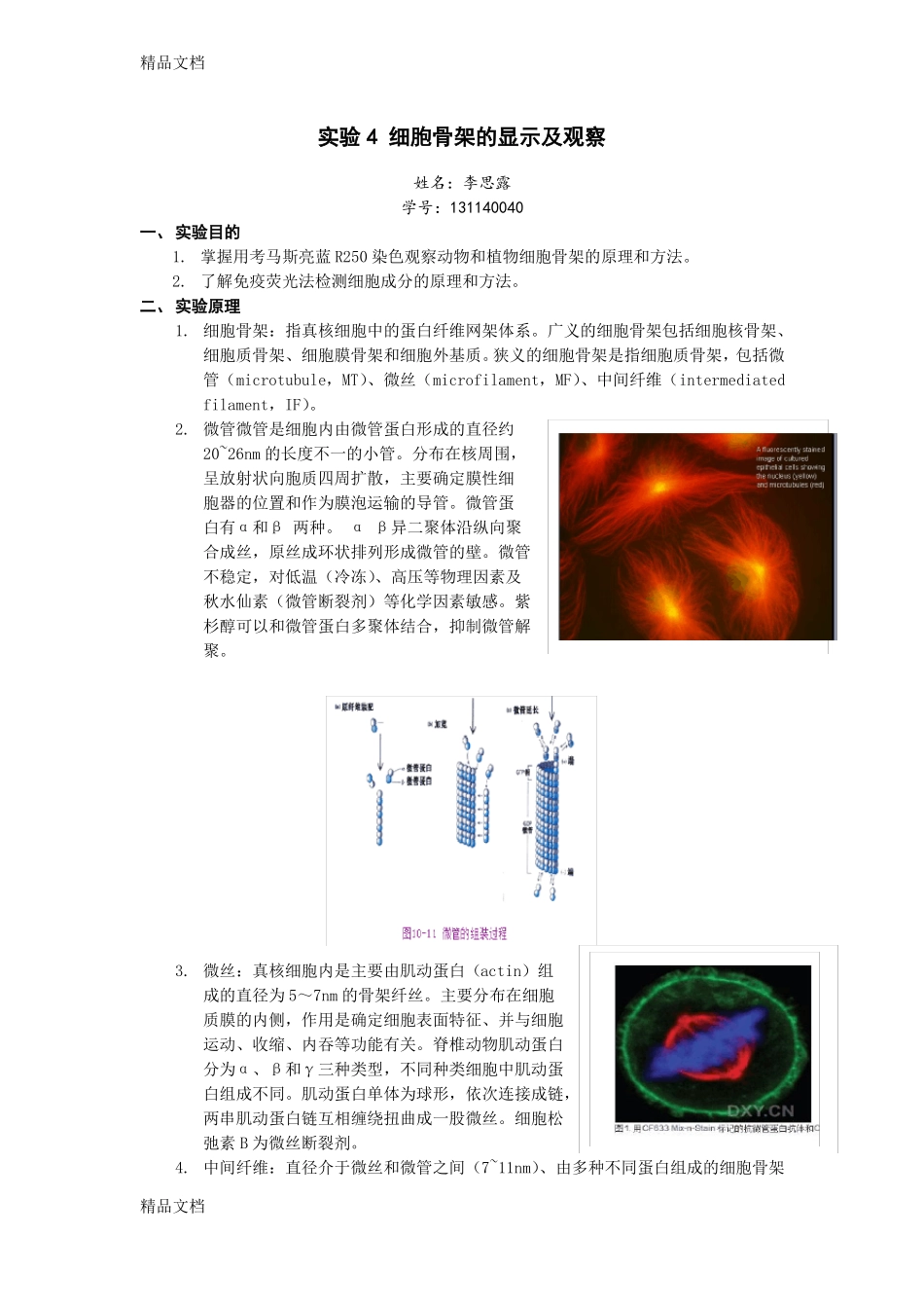 试验4细胞骨架的显示及观察学习资料_第1页