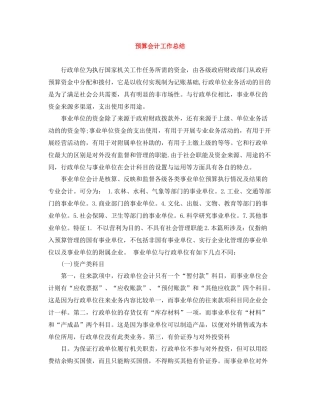 预算会计工作总结