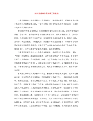 财务审计员年终工作总结